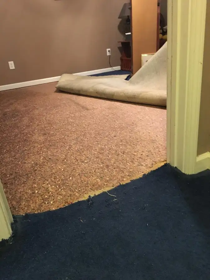Carpet pad removal revealing water damage during Drying & Dehumidification in North Logan