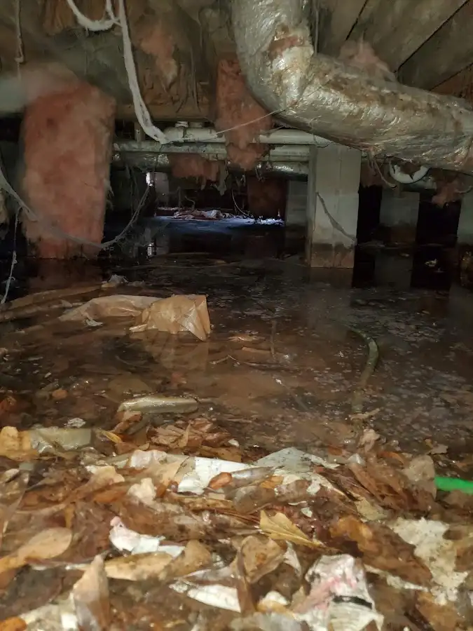 Crawl space flood assessment for Leak Detection & Repair in North Logan